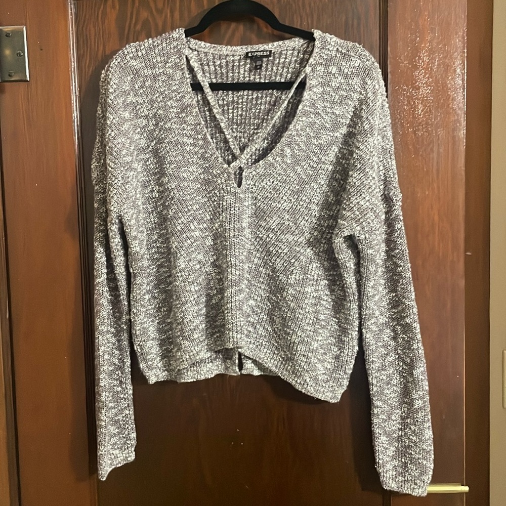 Express sweater